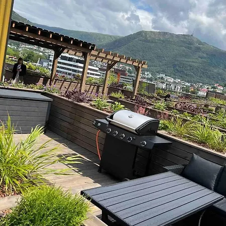 Sentrums-naer Med Sjoutsikt Appartement